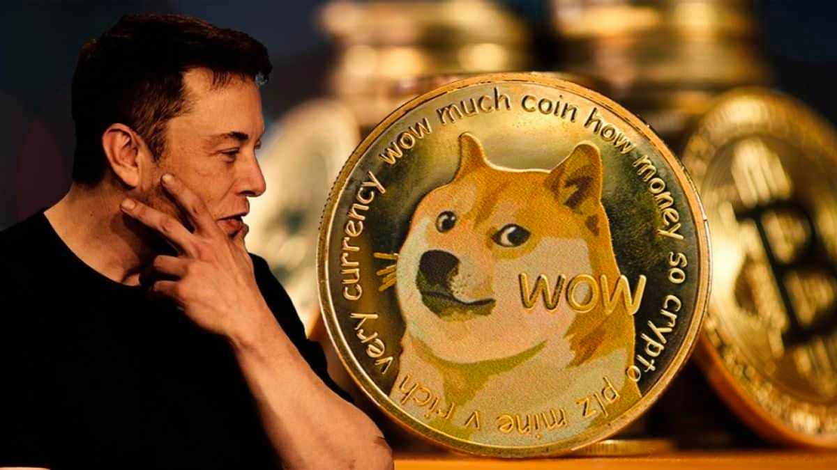 Seven Dogecoin investors joined the lawsuit against Musk book